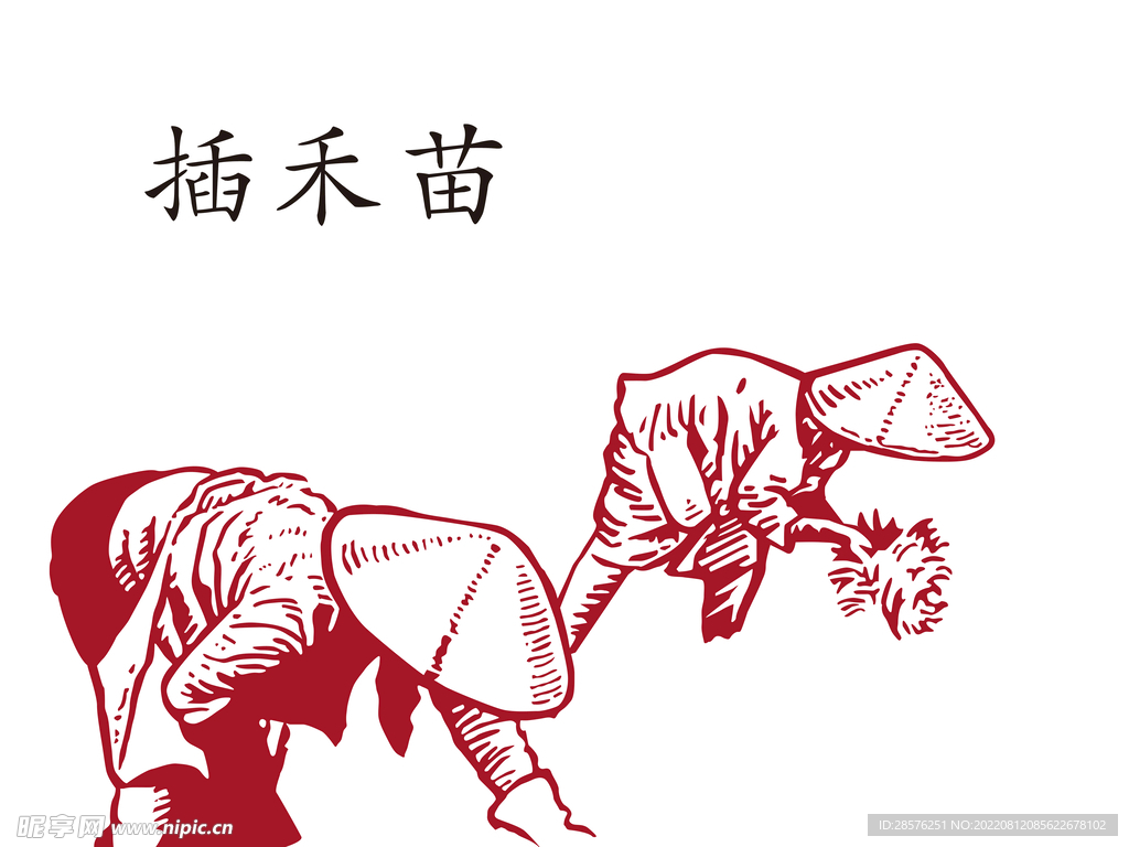 农夫插禾苗