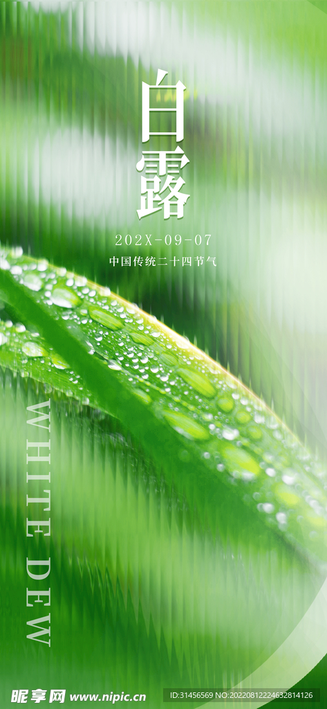 白露