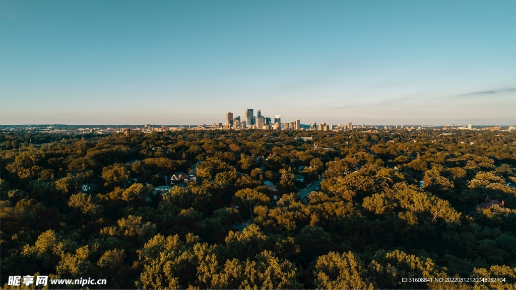 森林航拍景