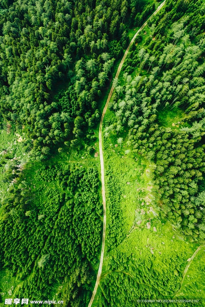 林间赛道 