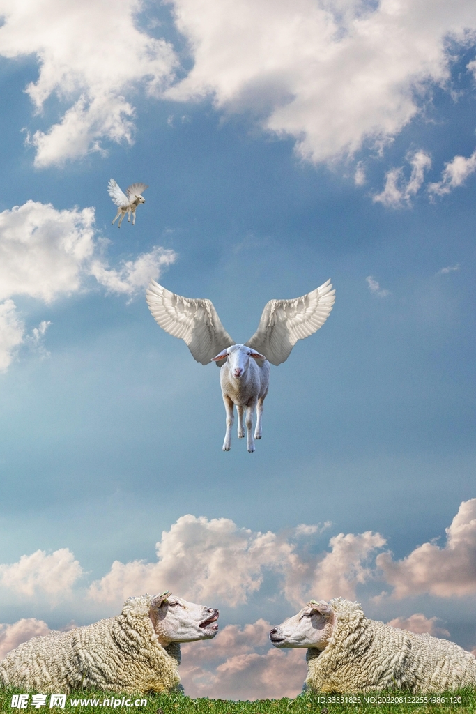 羊