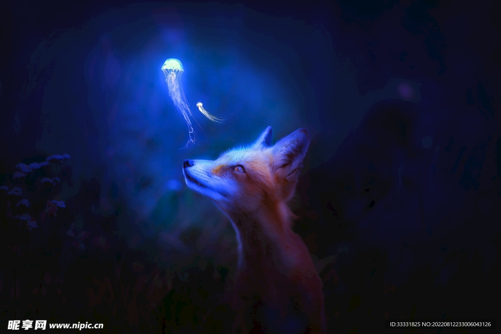 狐狸