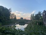 夏日的天空