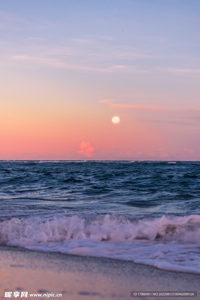 大海