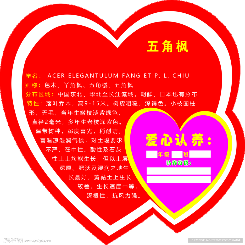 五角枫