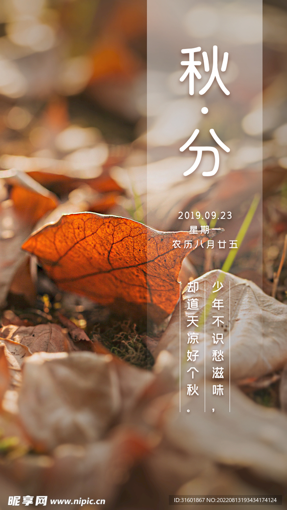 秋分素材