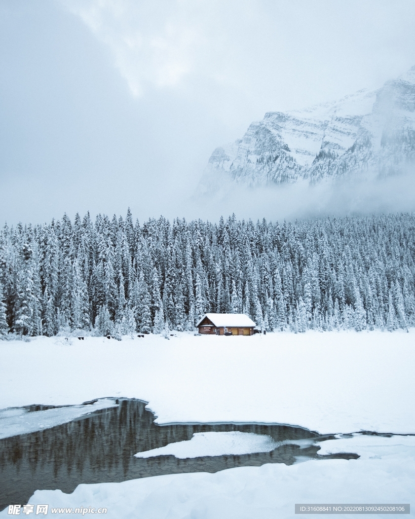 林间雪景