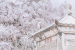 雪景