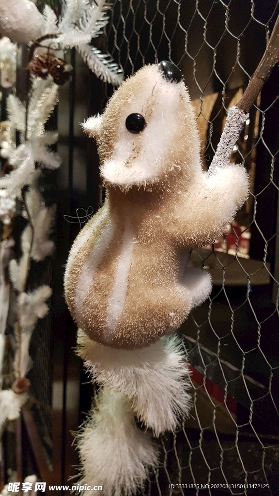 松鼠