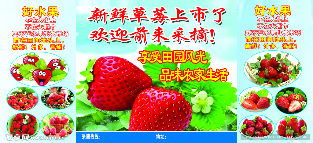 草莓招牌
