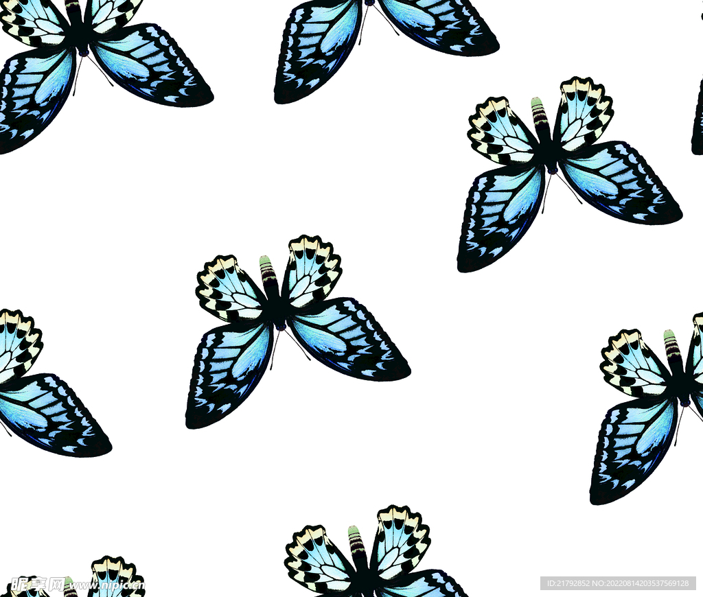 蝴蝶 数码印花图片