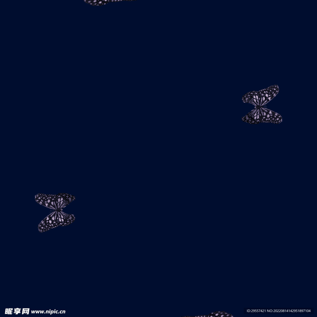 蝴蝶
