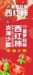 西红柿普罗旺斯展架