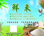 大米标签