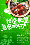 大闸蟹海报