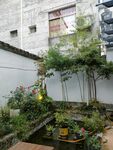 中式庭院小花园