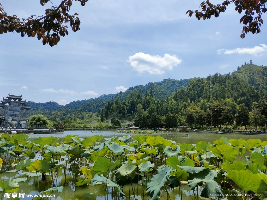 黄山水墨宏村荷花池