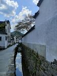 黄山西递古村落风景区