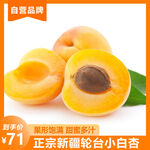 小白杏主图