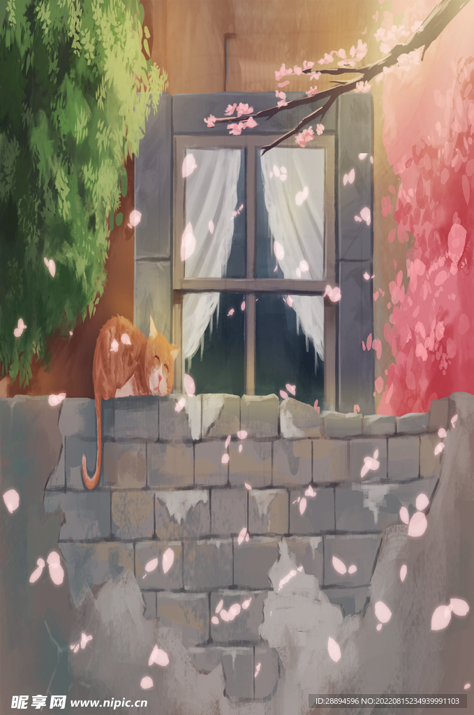 樱花季趴在砖墙上的猫咪