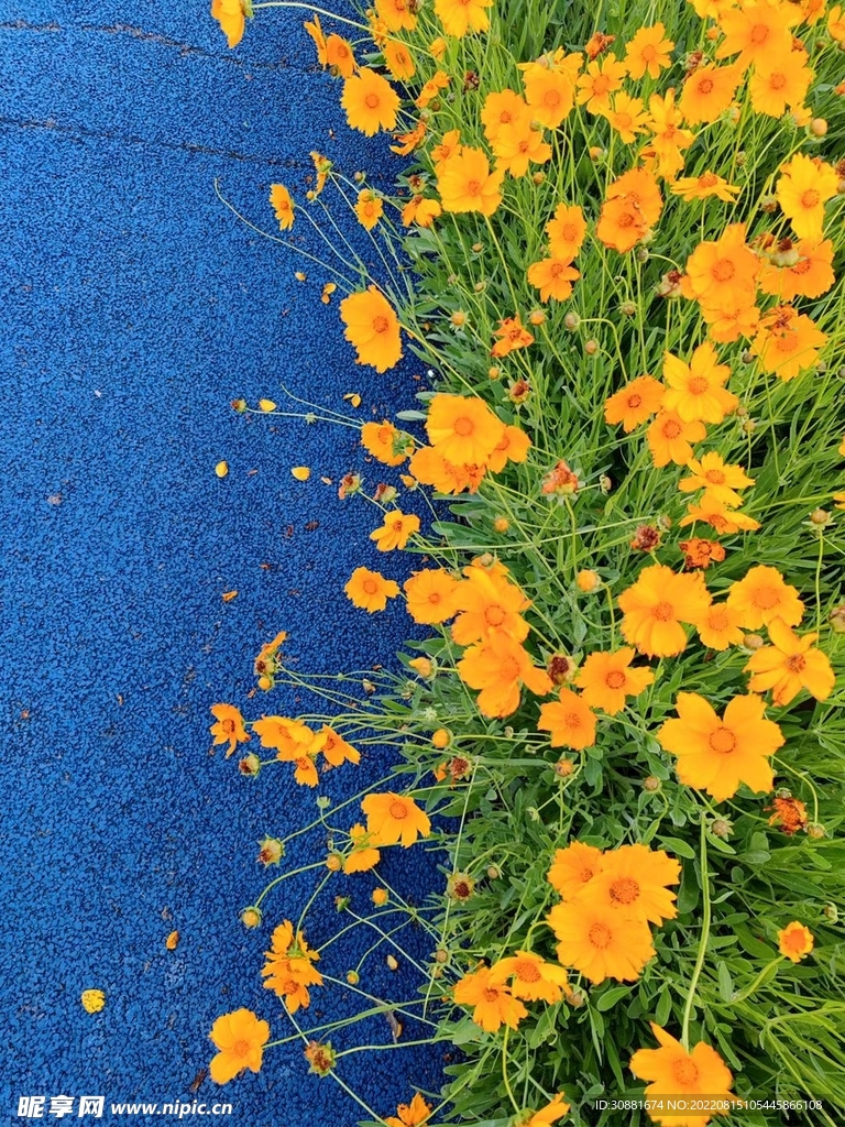 花