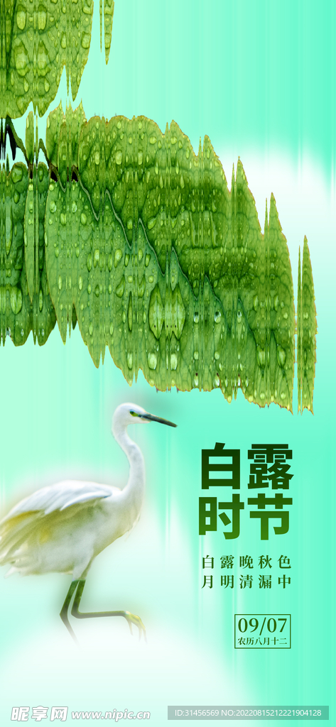 白露