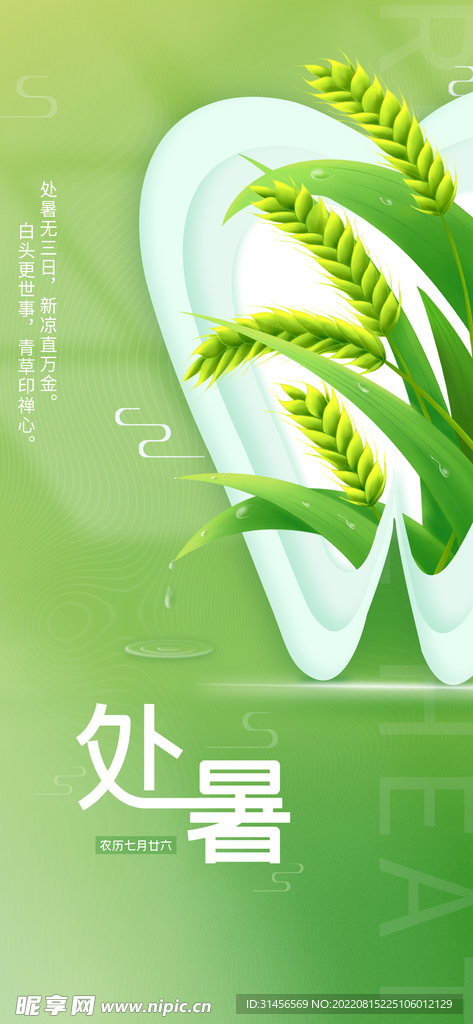 处暑