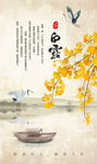 白露海报