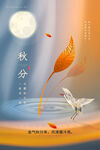 秋分
