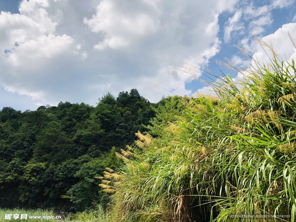 绿水青山蓝天白云