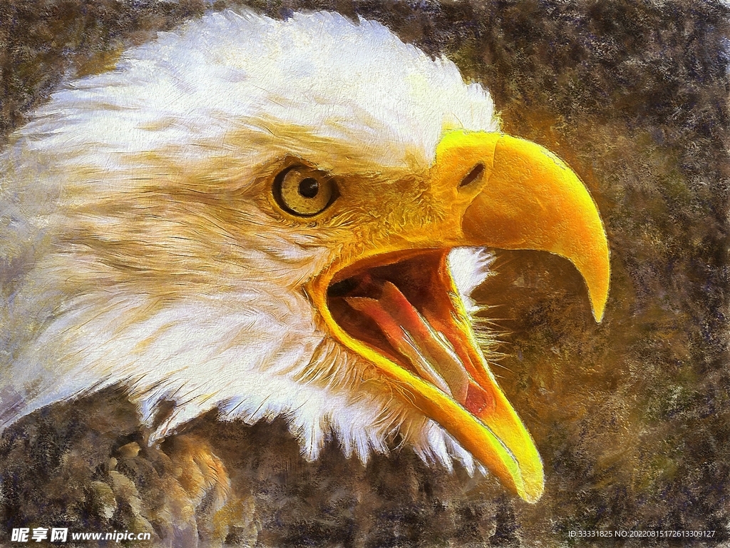 鹰 