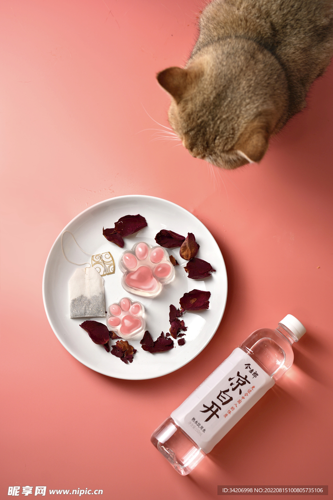 凉白开猫爪茶冻