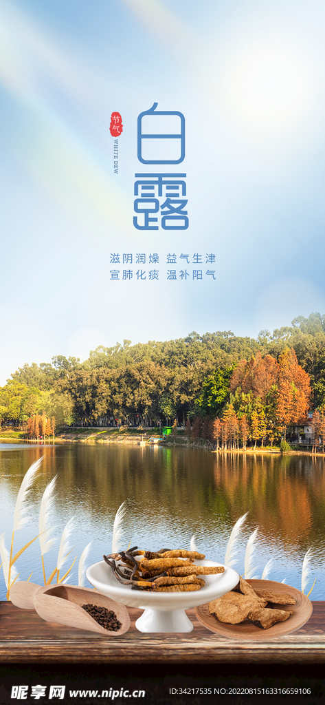 白露