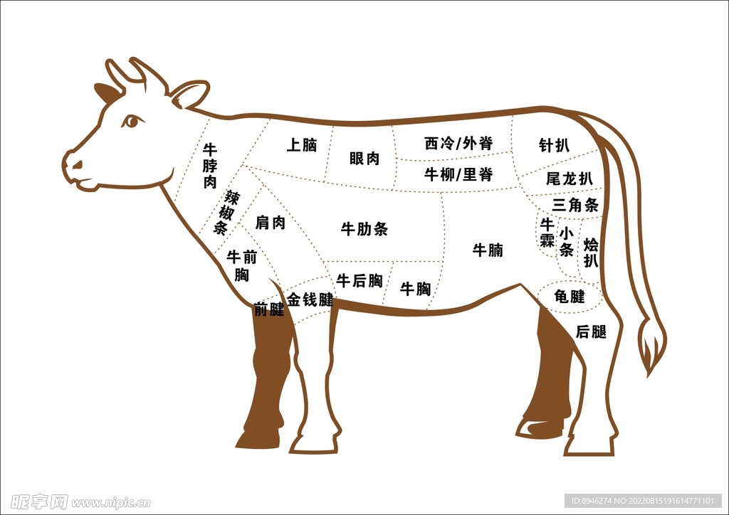 牛肉分割图