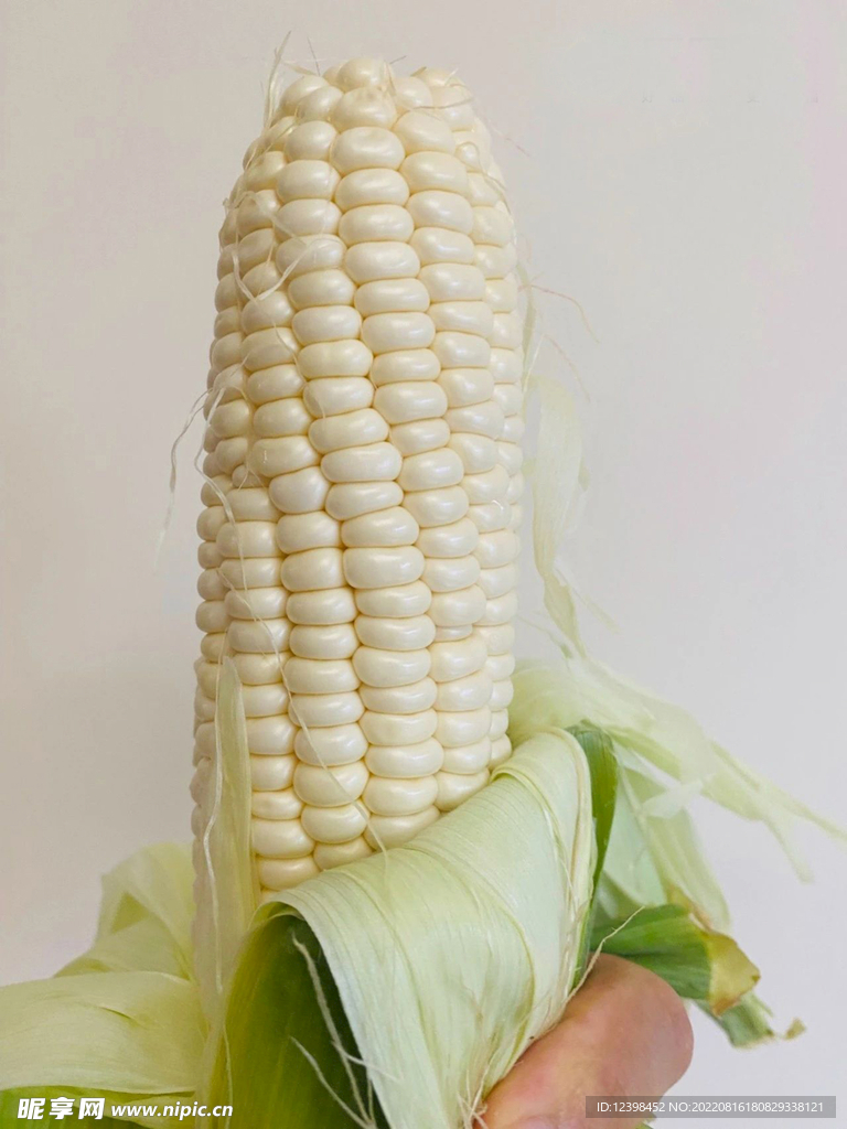 玉米