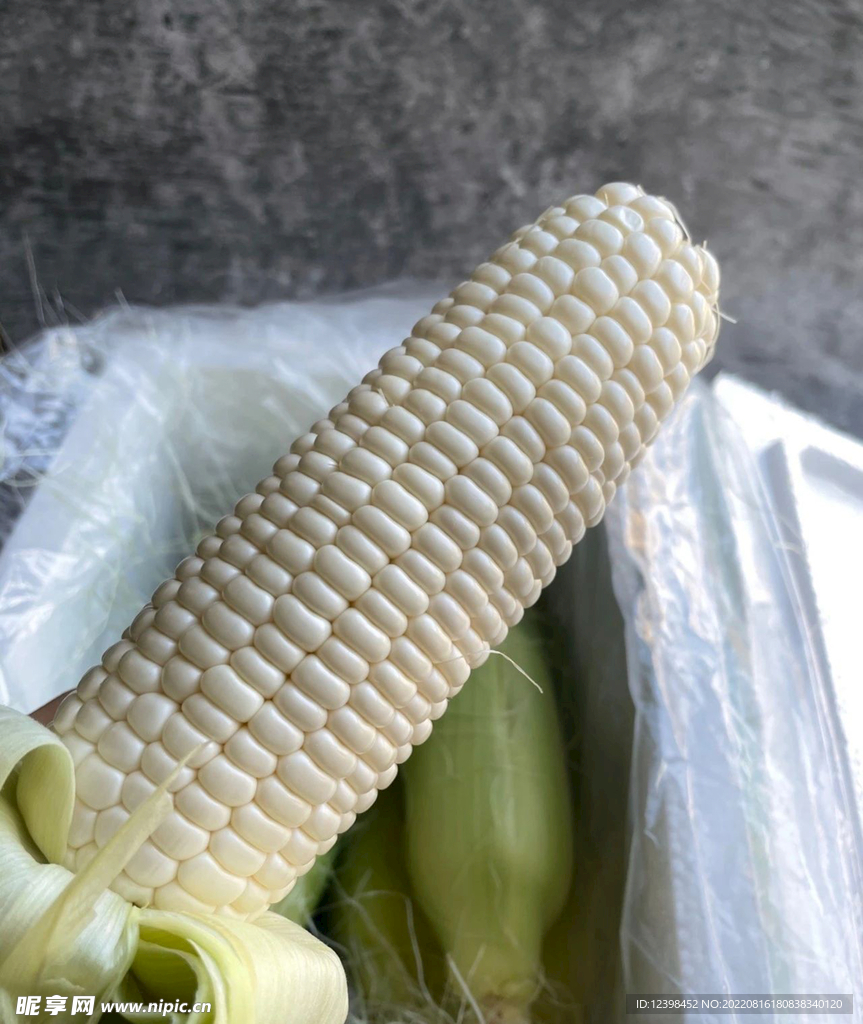 玉米