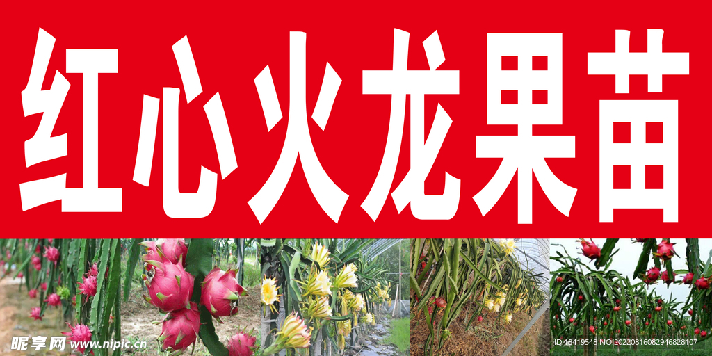 火龙果喷绘