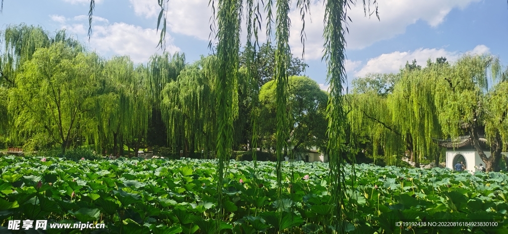 公园风景 