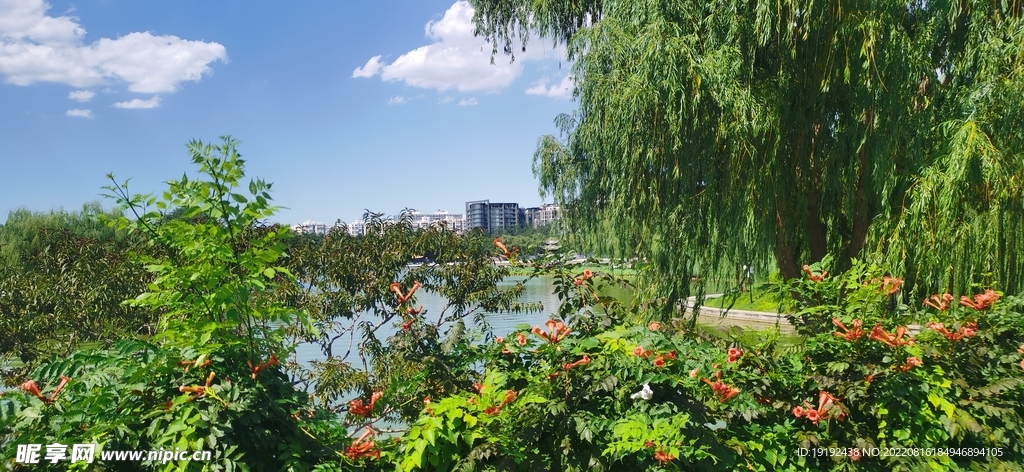 公园风景 