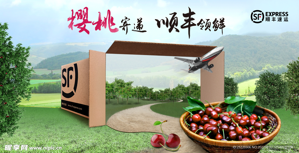 樱桃