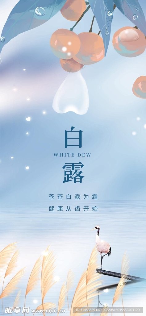 白露