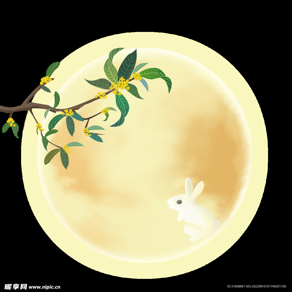 月亮