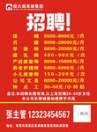 傻大姐家政集团招聘