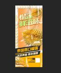 榴莲展架