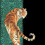 豹纹  