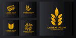 麦穗LOGO