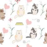 卡通猫  