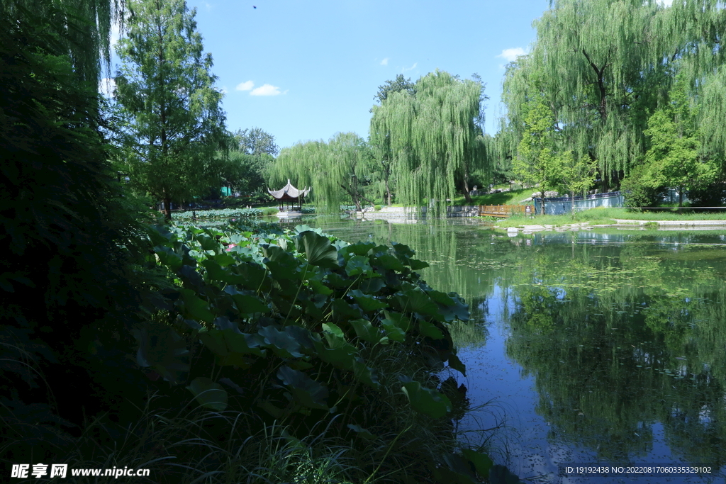 公园风景 