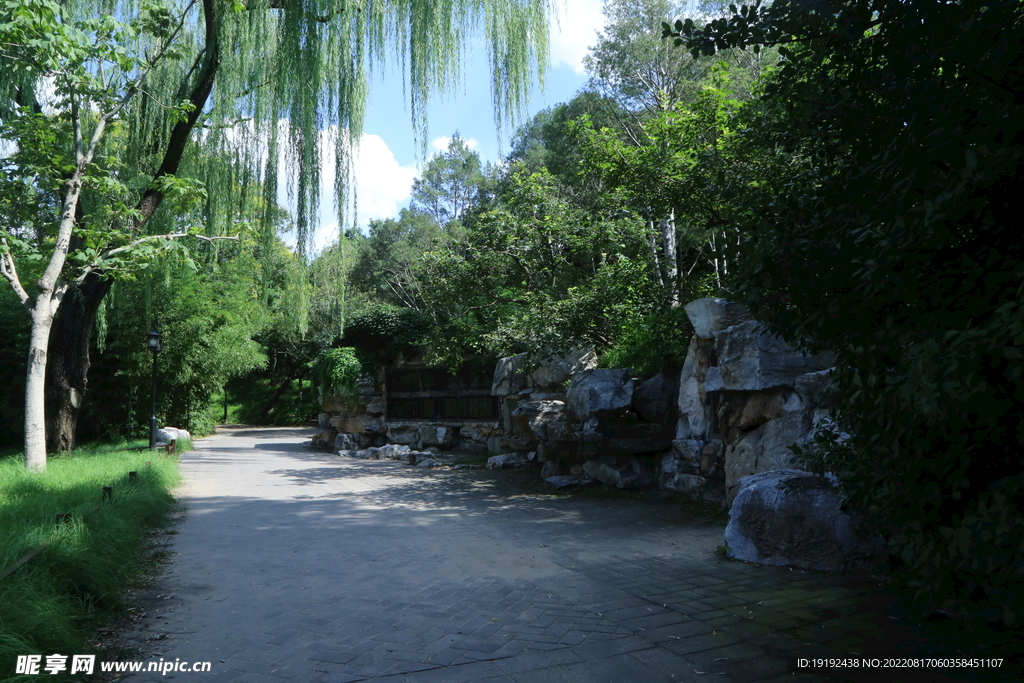 公园风景