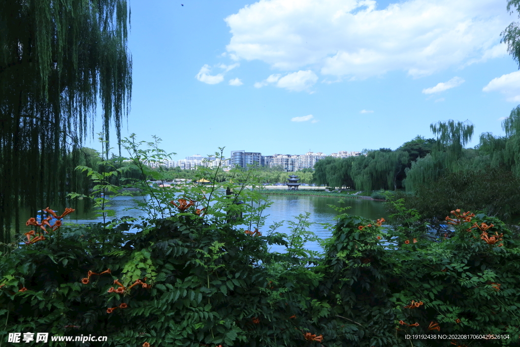 公园风景